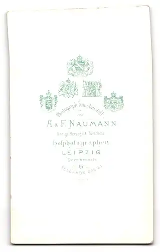 Fotografie A. & F. Naumann, Leipzig, Dorotheenstr. 6, Niedliches Baby im weissen Kleid mit erstauntem Blick und Glatze