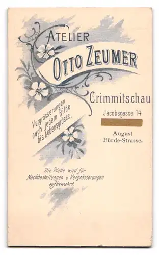 Fotografie Otto Zeumer, Crimmitschau, Jacobsgasse 14, Junge Dame im Spitzenkleid