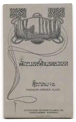 Fotografie Atelier Walbrecker, Zittau i. S., Theodor Körner-Allee, Halbwüchsiger Knabe im Anzug mit Fliege