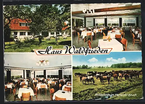 AK Dülmen, Gasthaus Waldfrieden am Wildpark Rath-Knepper, Börnste 20, Innenansichten