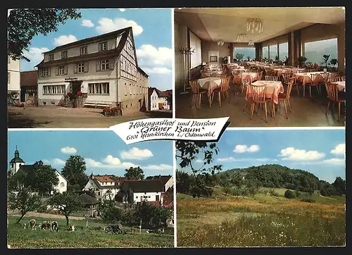 AK Neunkirchen / Odenwald, Höhengasthaus & Pension Grüner Baum, Ortsansicht
