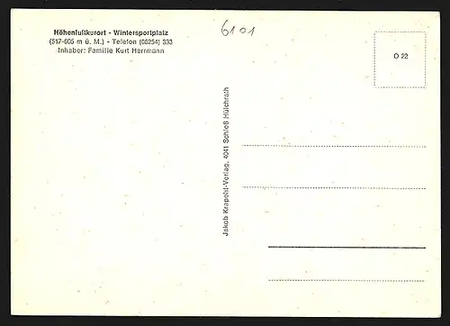 AK Neunkirchen / Odenwald, Höhengasthaus & Pension Grüner Baum, Ortsansicht