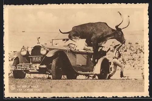 AK Auto Packard (1923 /28), Carr. Willoughby, Stier springt über den Wagen