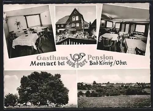 AK Bad König /Odw., Gasthaus und Pension zur Post von Momart, alte Momartseiche