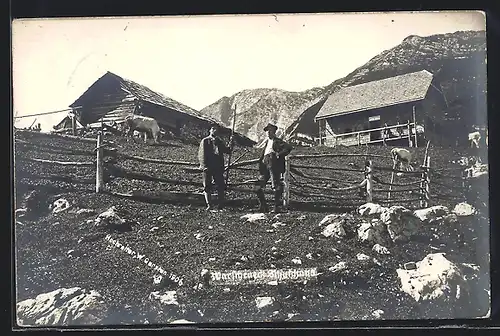 AK Warscheneck-Schutzhaus, Viehhirten vor einer Almweide