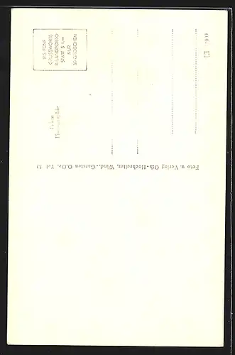 AK Linzerhaus mit dem Stubwieswipfel