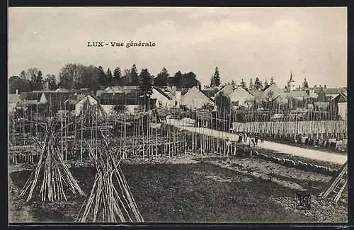 AK Lux, Vue générale