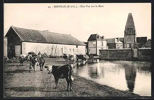 AK Serville, Une Vue sur la Mare