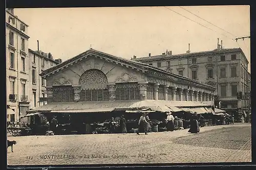 AK Montpellier, La Halle aux Colonnes