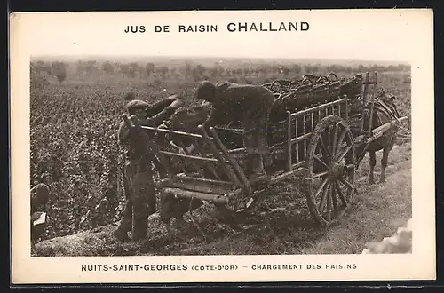 AK Nuits-Saint-Georges, Chargement des Raisins, Jus de Raisin Challand