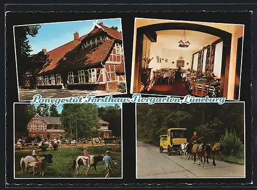 AK Lüneburg, Ponygestüt Fosthaus Tiergarten, Innenansicht, Ponywagen