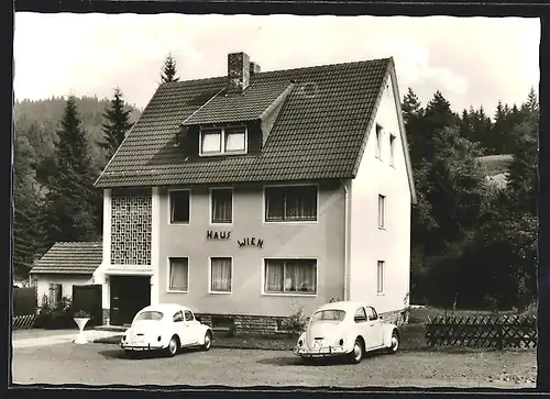 AK Wildemann, Haus Wien, Inh. Elfr. Vater, Heinrich-Schwier-Strasse 1