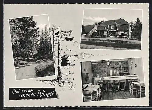 AK Westerhamm, Ficks Gasthof, Schöne Wingst Wald