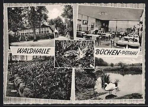 AK Büchen-Pötrau, Gasthaus Waldhalle am Steinautal