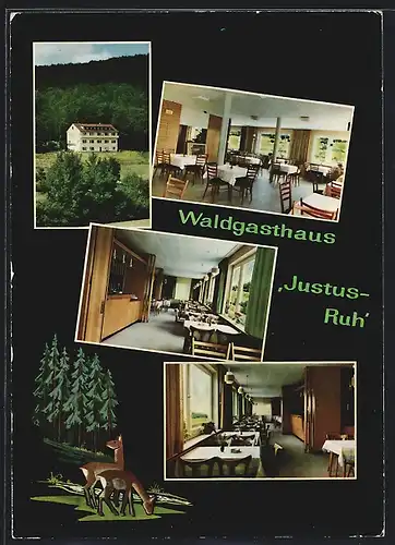 AK Neukirchen / Knüll, Waldgasthaus Justus Ruh