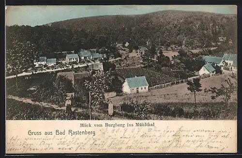 AK Rastenberg i. Thür., Blick vom Burgberg ins Mühlthal