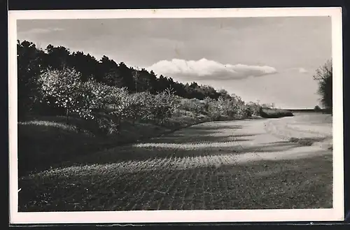 AK Gebesee, Hermann Lietz-Schule, Abendfrieden am Weinberg