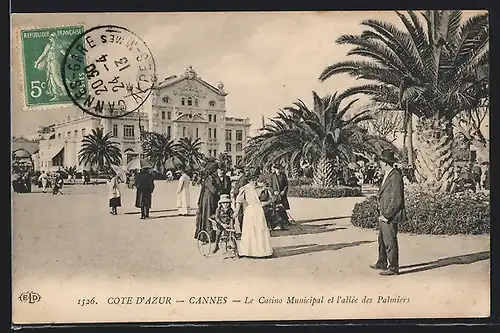 AK Cannes, La Casino Municipal et l`allèe des Palmiers