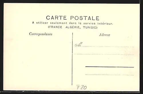 AK Vivario, Vue Gènèrale