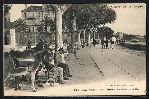 AK Cannes, Boulevard de la Croisette