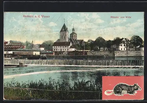 AK Hameln /Weser, Münster und Wehr