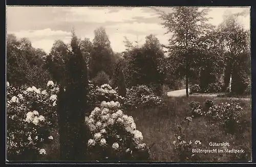 AK Gütersloh, Blütenpracht im Stadtpark