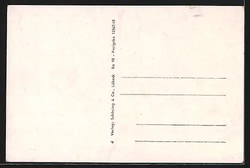 AK Rostock, Lagerbuschturm, Nicolai- und Petrikirchen, Steintor, Stadtmauer