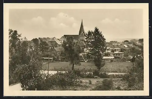 AK Neukalen /Meckl., Ortsansicht mit Kirche