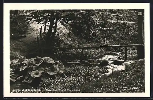 AK Buckow /Märk. Schweiz, Sophienfliess u. Poetensteg