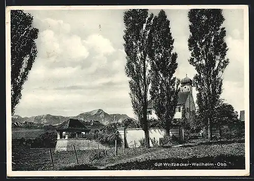 AK Weilheim i. Obb., Gut Weitzacker mit Bäumen u. Bergen