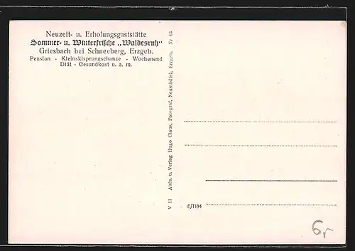 AK Griesbach i. Erzgeb., Gasthaus Waldesruh, Menschen am Wasser mit Ruderboot