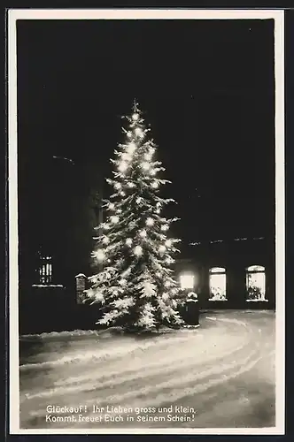 AK Freiberg i. Sa., Erleuchteter Weihnachtsbaum bei Nacht am Strassenrand