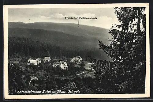 AK Zwiesel / Sächs. Schweiz, Ortsansicht aus der Vogelschau mit Fremdenhof Waldfriedenbaude