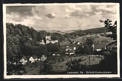 AK Liebstadt / Sa., Ortsansicht mit Schloss Kuckuckstein