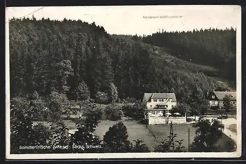 AK Zwiesel / Sächs. Schweiz, Fremdenhof Waldfrieden-Baude