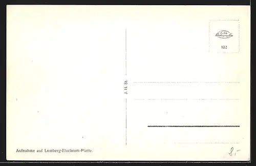 AK Kronach, Veste Rosenberg