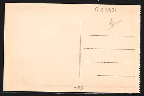 AK Tronget, Sanatorium F. Mercier, Facade, vue de l'Est