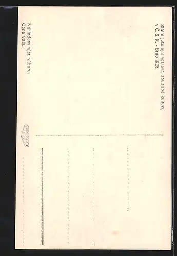 AK Brno, Státní jubilejní výstava soudobé kultury 1928, Ausstellungsgelände
