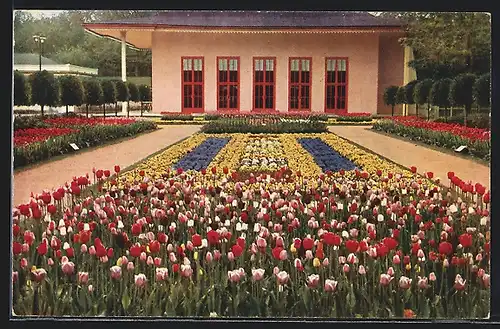 AK Dresden, Jubiläums-Gartenbau-Ausstellung 1926, Schmuckanlage am Haupteingang