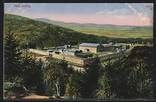 AK Saalburg / Bad Homburg, Blick auf die Kastell Saalburg