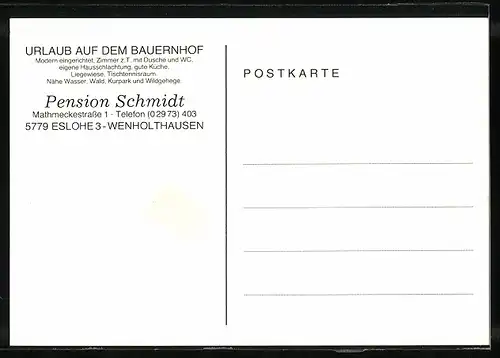 AK Eslohe-Wenholthausen, Pension Schmidt, Mathmeckestrasse 1, Innenansicht, Ortspartie