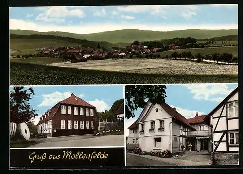 AK Mollenfelde, Gasthaus Zum Krug Erwin Fahrenbach, Strassenpartie, Teilansicht