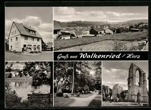 AK Walkenried /Harz, Feinkost-Spirituosen Handel Wilhelm Kleemann jr., Ruine, Ortsansicht