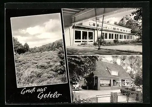AK Getelo /Kr. Bentheim, VW Bus nebst Wohnhaus, Blick auf den Wald