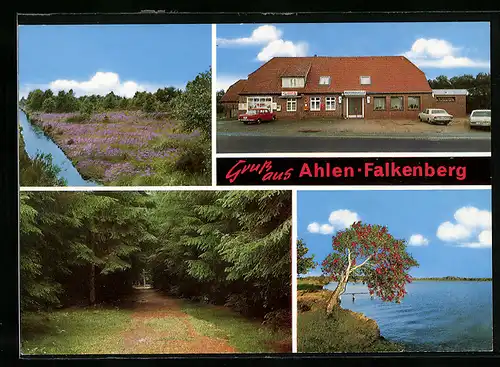 AK Ahlen-Falkenberg, Strassenpartie mit Geschäft Moorquelle, Waldblick, Partie am Wasser