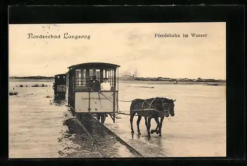 AK Langeoog, Nordseebad, Pferdebahn im Wasser