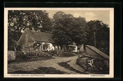 AK Flecken Zechlin /Ostprignitz, Dorfstrasse mit Bäumen