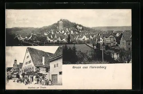 AK Herrenberg, Gasthaus zur Traube, Teilansicht