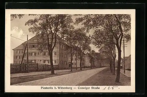 AK Piesteritz b. Wittenberg, Coswiger Strasse mit Bäumen