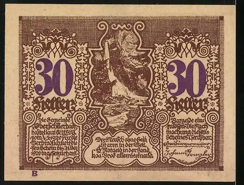 Notgeld Oberschlierbach /Ob.-Öst. 1920, 30 Heller, Ortspartie, Wappen